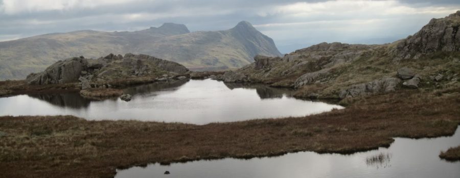 Lincomb Tarns