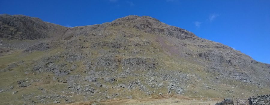 Red Screes