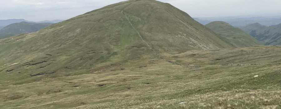 High Raise (Martindale) and Rest Dodd