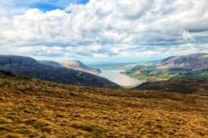 Haycock from Ennerdale