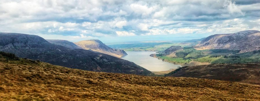 Haycock from Ennerdale