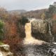 Low Force and High Force